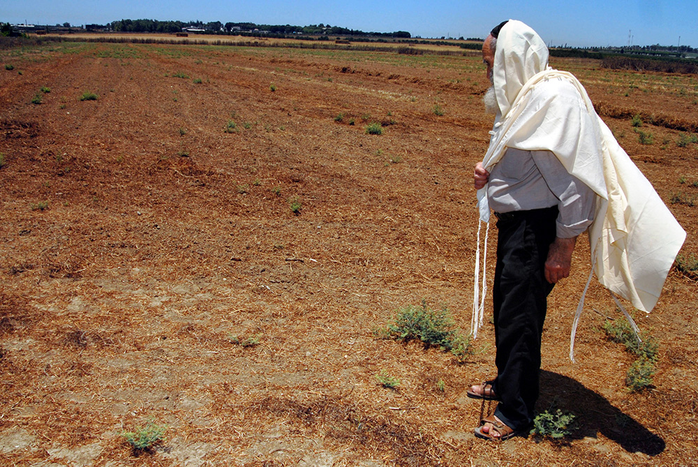 עוצרים את מירוץ החיים – על שבת ושמיטה