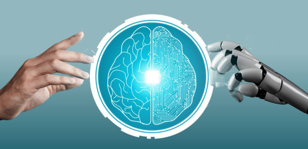 رحلة في عالم الدوالّ الخطّيّة: تمثيل، تحليل، وتطبيقات رقميّة